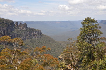 Blue Mountains, National Park, New South Wales, Australia