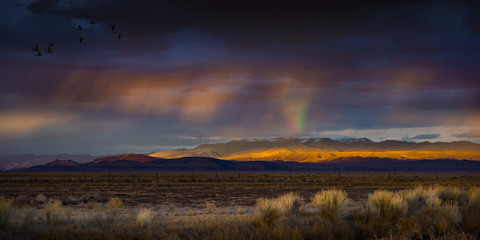 Fototapeta premium Stormy Sunset z deszczem i tęczą na pustyni ze światłem na pasmo górskie. Fallon, NV