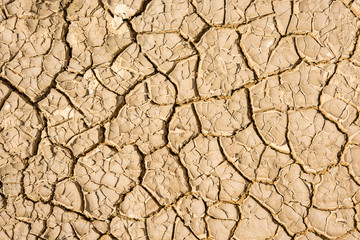 cracked soil background