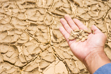 Men hands holding dry pieces of soil