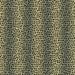 Seamless  pattern  of wild cat fur