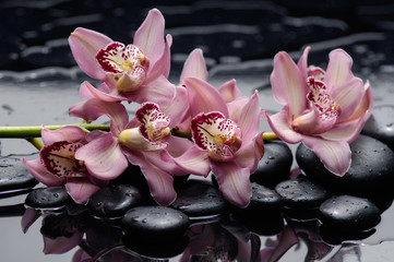 Obraz na płótnie Canvas Branch orchid with therapy stones 