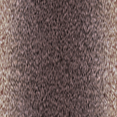 Seamless  pattern  of wild animal fur © kseniyaomega