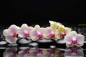 Naklejka na ściany i meble Set of white orchid with therapy stones 