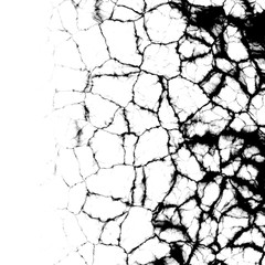 Cracks  grunge background in white background