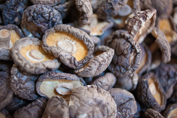 Close-Up dried shiitake mushrooms. 