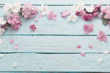 apple flowers on wooden background