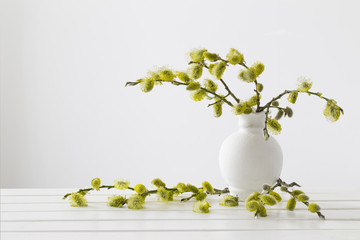 Branches of the pussy willow with flowering bud on white background © Maya Kruchancova