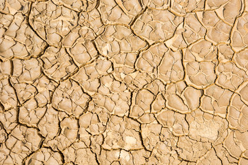 cracked soil background