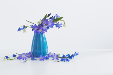 Still life with spring blue flowers