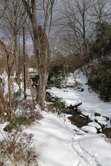冬のふるさと旅行村