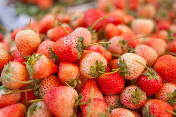 Fresh Strawberries