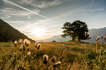 Picturesque alpine landscape