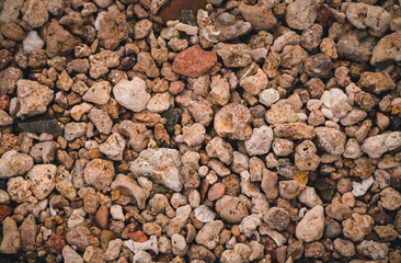 Морской галечный пляж