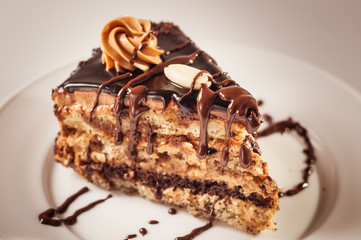 Homemade chocolate cake with walnut and poppy seeds.