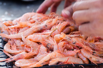 Fresh fishes and other seafood on market in Morocco ready for sell