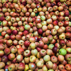Red Apples
