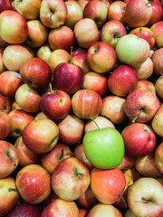 Green apple amongst Red Apples