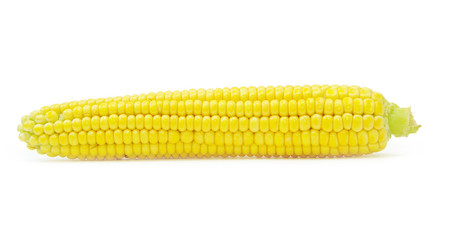  maize