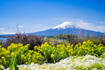 Mt.Fuji and blue sky at Kawaguchi-lake ,Japan