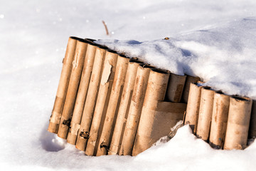 Close-up of a burnt firecracker