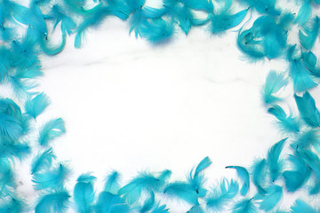 Frame of feathers turquoise