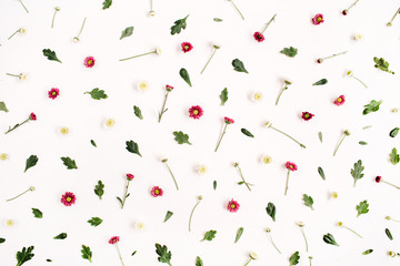 Flower pattern with red and white wildflowers, green leaves, branches on white background. Flat lay, top view. Floral background.