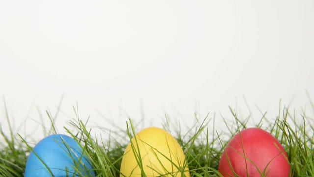 easter eggs in grass