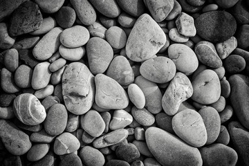 Fishguard, Wales - Smooth beach pebbles in black and white