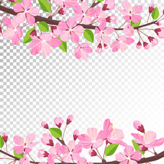 cherry blossom background