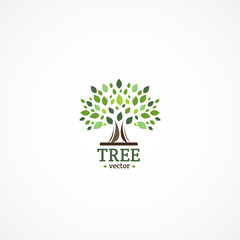 Vector Tree logo.