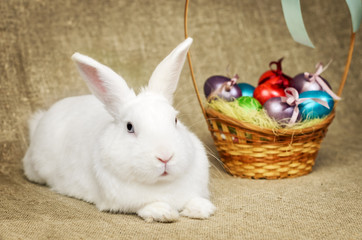 White clean beautiful Easter bunny next to a wicker basket with eggs in the background krashenyymi natural burlap cloth