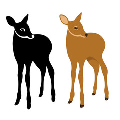 young deer vector illustration style Flat set silhouette