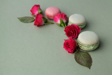Vintage pastel colored French macarons and roses on green