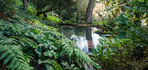 Lake in a forest surrounded by vegetation in the Monserrate garden in Sintra Portugal