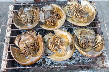 horseshoe crab grilled ,Thailand Food