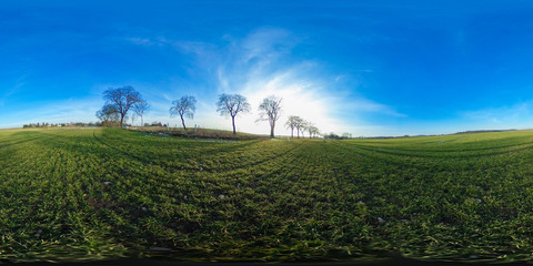 
360 degrees spherical panorama of green Agriculture fields  in winter with blue sky - germany