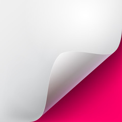 Curved corner of a white paper with shadow. Mockups close-up on a pink background. Vector illustration EPS 10