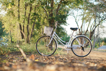 Fototapeta na wymiar Vintage style bicycle at fall season road in Asian country.