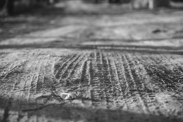 Fototapeta premium Dirt road with wheel track.
