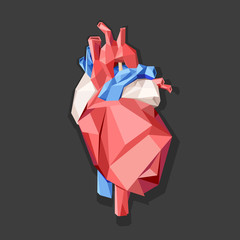 Low poly style isolated anatomical heart in red, blue and white colors on the gray background.