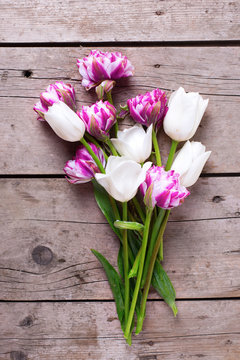 Bunch od bright  violet and white tulips flowers on aged wooden  background.