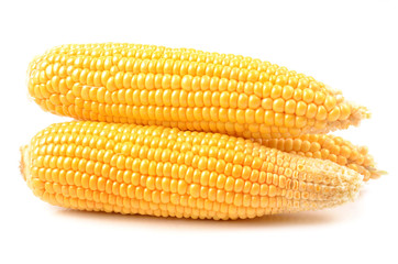 Corn on a white background