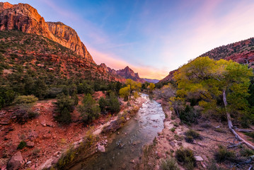 The rays of the sun illuminate red cliffs and river. Park at sunset. A beautiful pink sky. Zion...