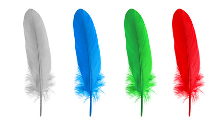 feathers different color on a white background