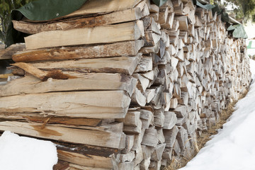 Background of beechwood