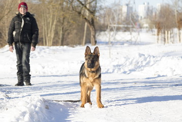 Dog and boy in the winter park