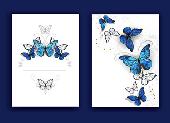 brochure design with butterflies morpho