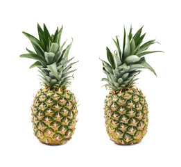 Ripe pineapple fruit isolated