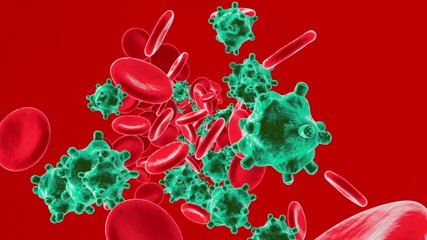 Erythrocytes, Viruses and Monocytes flowing in the blood stream symbolizing the human immune system fighting against intruders.
